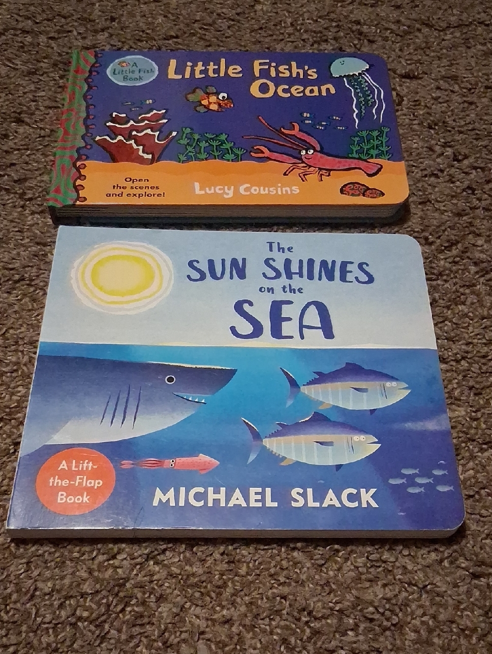 Ocean Book 0-preschool age